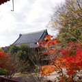 太山寺　安養院庭園