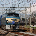 JR(電気機関車)