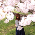 桜ポートレート
